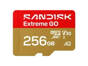 SanDisk Extreme GO microSDXC 256GB V30 SDSQXGN-256G-GN6MN